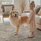 DCX Washable 5x7, Kid & Pet Friendly - Image 6