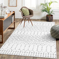 Lahome Moroccan Living Room Area Rug Washable Rugs 5x7 Non-Slip Soft Throw Rugs by Lahome
