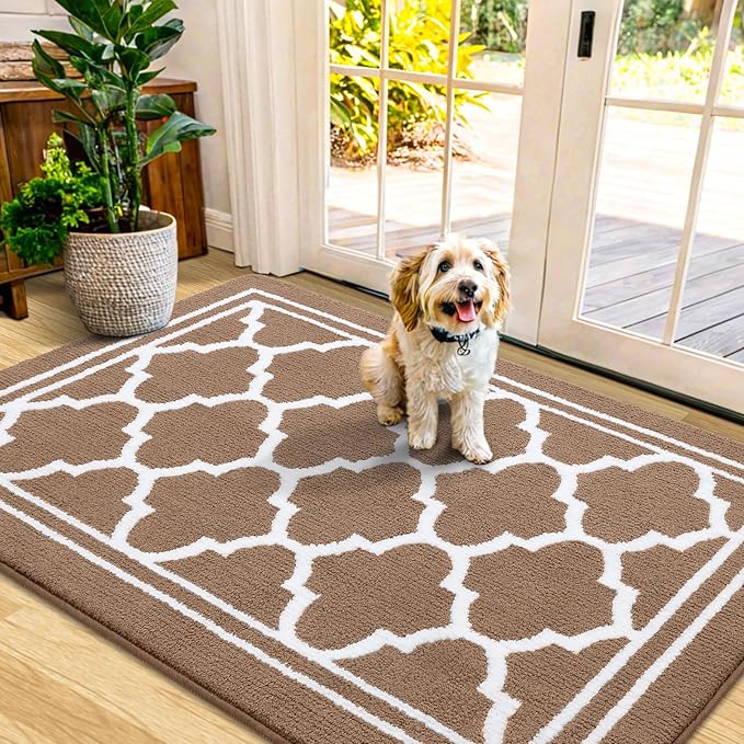 Buganda Indoor Door Mat, Dirt-Resistant and Absorbent Doormat, Low Profile by Buganda