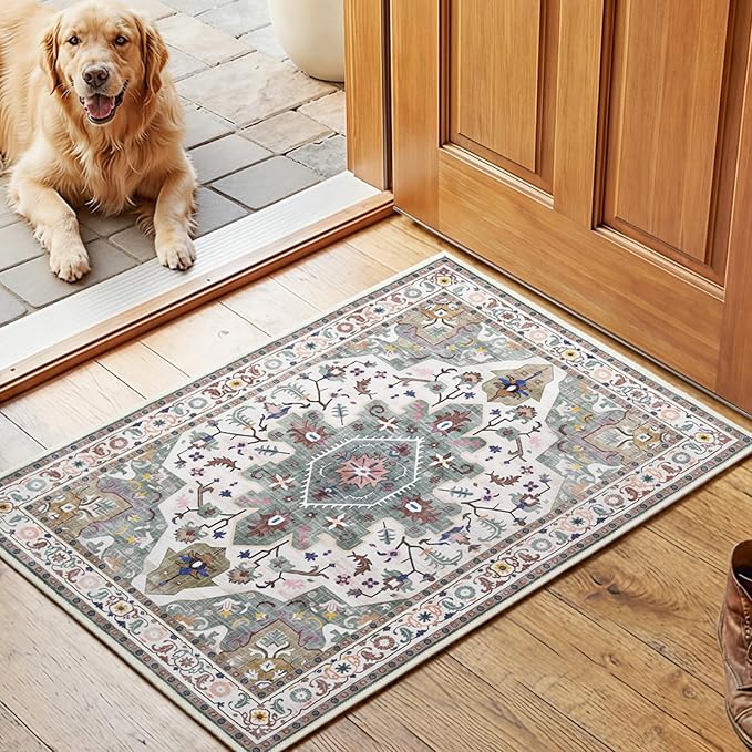 HOOBRO 2 x 3 Area Rugs Washable, Small Rugs by HOOBRO