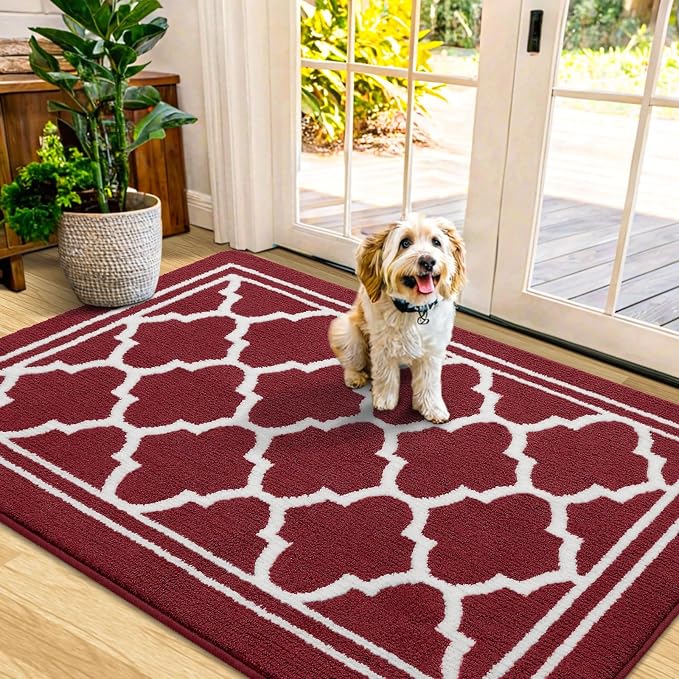 Buganda Indoor Door Mat, Dirt-Resistant and Absorbent Doormat, Low Profile by Buganda