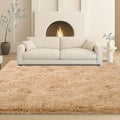 Fluffy Plush Shag Rug 5x7, Ultra Soft Rug by Mtandyx