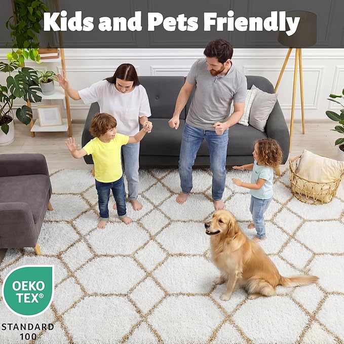 ONASAR Large Living Room Area Rug 6x9, Soft Fuzzy Shaggy Plush Fluffy Moroccan - Image 3