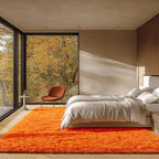 ONASAR Orange Rugs for Living Room Bedroom, 5x8 Fluffy Bedside Area Rug - Image 4