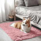 OLANLY 2x3 Machine Washable Small Bedside Rug, Soft Fluffy Shaggy Entryway by OLANLY