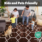ONASAR 6x9 Area Rugs for Living Room Bedroom, Large Fluffy Brown and White - Image 3