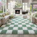 KICMOR Living Room Rugs 5x8 Sage Green and White, Large Fluffy Furry Shaggy by KICMOR