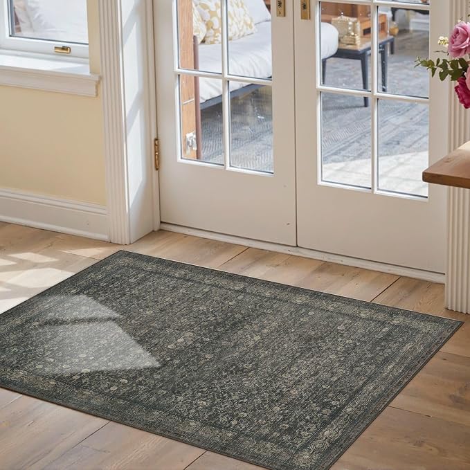 Rugxara 2x3 Entryway Rug Door Mat Indoor Entrance, Washable Non Slip Kitchen - Image 2