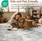 8x10 Ft Large Area Rugs for Living Room, Soft Non-Slip Washable Rugs Modern - Image 5