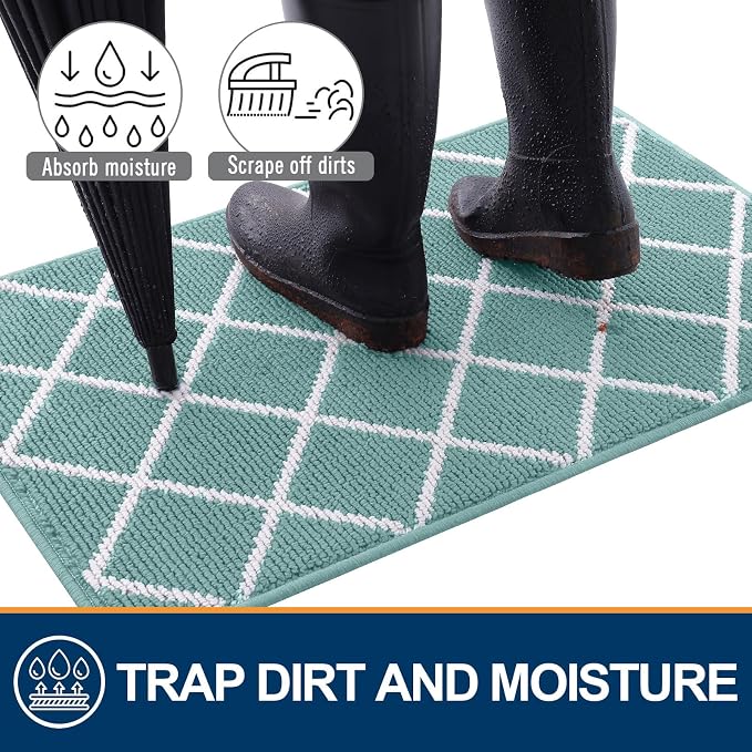 Finchitty Indoor Door Mat, Dirt Resistant and Absorbent, Low-Profile, Washable - Image 2