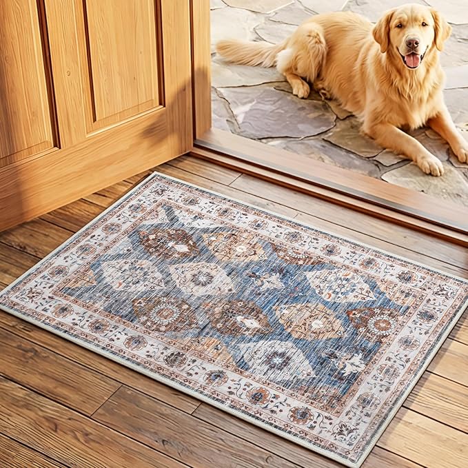 HOOBRO 2 x 3 Area Rugs Washable, Small Rugs by HOOBRO