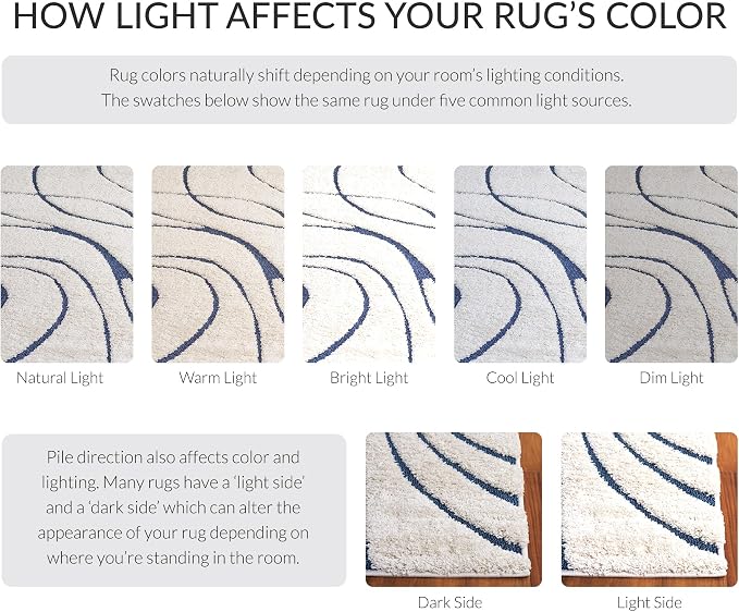 SAFAVIEH Florida Shag Collection Area Rug - Image 10