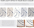 SAFAVIEH Florida Shag Collection Accent Rug - Image 9