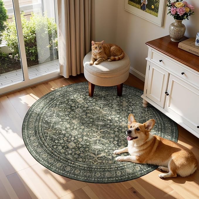 Lofus 4ft Area Rugs for Living Room, Soft Boho Carpets for Bedroom Dining Room - Image 5