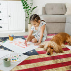 Vintage American Flag Area Rugs 5x7 Washable Area Rugs - Image 5