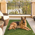 Ottomanson Artificial Turf Mat Natural 31" x 4' | Realistic Grass by Ottomanson
