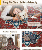 RELEANY Area Rugs Small 2'6"x4' Washable Non-Slip, Floral Vintage Distress - Image 5