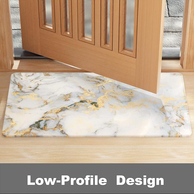 Rnivvi Front Door Mat, Heavy Duty Low Profile Anti-Slip Entryway Rug - Image 4