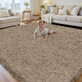 8x10 Area Rug for Living Room, Ultra Soft Fluffy Shag Rugs for Bedroom by Yidanamy