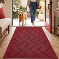hicorfe Indoor Door Mat, Non Slip Door Mats, Absorbent Resist Dirt Entrance by Hicorfe