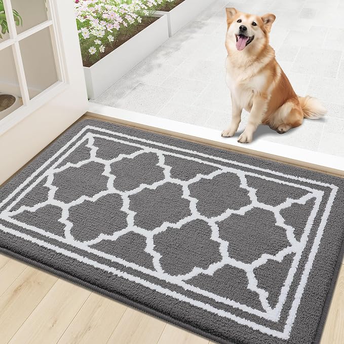 Buganda Indoor Door Mat, Dirt-Resistant and Absorbent Doormat, Low Profile by Buganda