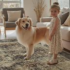 DCX Washable 6x9, Kid & Pet Friendly - Image 6