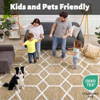 ONASAR Large Area Rugs for Living Room, Fluffy 7x10 Beige and White Thick Floor - Image 5