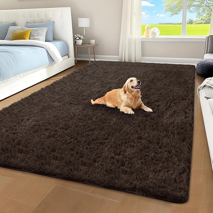 Brown Area Rug for Bedroom, 4x6 Fluffy Shag Rugs for Living Room Nursery by Unknown