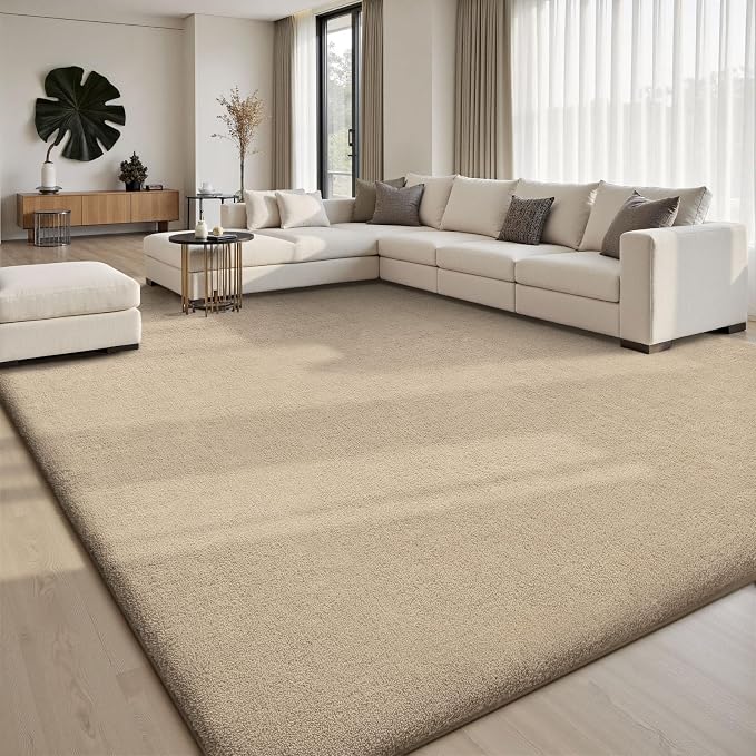 Sour Lemon 8x10 Area Rugs for Living Room, Soft Large Area Rug Fluffy Rugs for by SourLemon