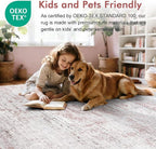 6x9 Ft Large Area Rugs for Living Room, Soft Non-Slip Washable Rugs Modern - Image 5