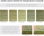 SAFAVIEH Arizona Shag Collection Area Rug - Image 8