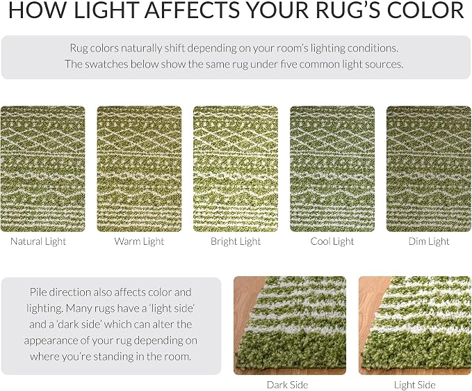 SAFAVIEH Arizona Shag Collection Area Rug - Image 8