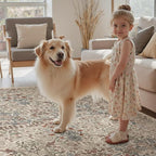 DCX Beige 6x9 Area Rug, Machine Washable Non Slip Stain Resistant Soft Vintage - Image 9