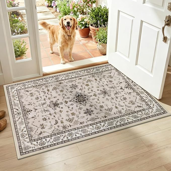 HEBE Washable Aera Rug 2'x 3' Non Slip Door Mat Indoor Entrance, Low Pile by HEBE
