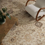 Machine Washable Rug for Living Room: 6x9 Area Rugs Boho Vintage Rug Stain - Image 4