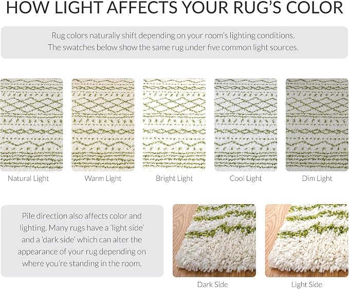 SAFAVIEH Arizona Shag Collection Area Rug - Image 9