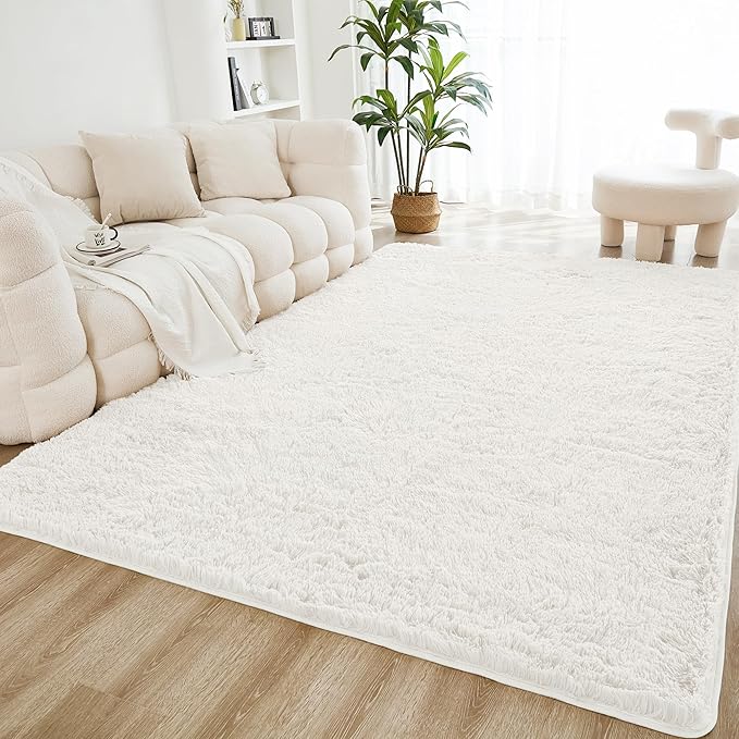 Litanika 6x9 Shag Area Rug for Living Room Bedroom, Non-Shedding Modern Indoor by Litanika