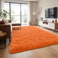 Andecor Shag Area Rug for Living Room, 5x8 Feet Orange Soft Fluffy Indoor Plush by Andecor
