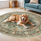 Washable Oriental Area Rug - 9ft Round Rugs - Image 6