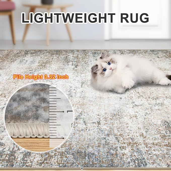 Area Rugs 10x12 Living Room - Image 5