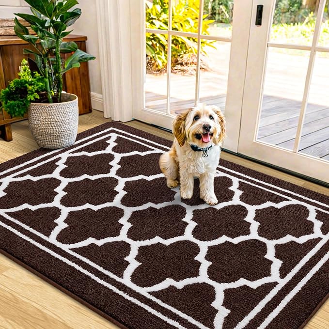 Buganda Indoor Door Mat, Dirt-Resistant and Absorbent Doormat, Low Profile by Buganda