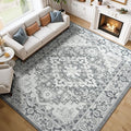 Lessymo 7 x 10 Area Rugs for Living Room- Machine Washable Area Rugs Boho Faux by Lessymo