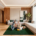 5x7 Area Rugs for Living Room, Large Fluffy Dark Green Rugs for Bedroom by Unknown
