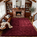 Area Rugs for Living Room, 6x9 Feet Soft Fluffy Shagg Plush Rug High Pile Large by Cuzwlovita