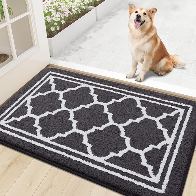 Buganda Indoor Door Mat, Dirt-Resistant and Absorbent Doormat, Low Profile by Buganda