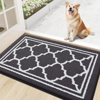 Buganda Indoor Door Mat, Dirt-Resistant and Absorbent Doormat, Low Profile by Buganda