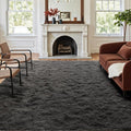 4x6 Ft Shag Rugs for Bedroom Living Room, Ultra Soft Fluffy Furry Area Rugs for by Cuzwlovita