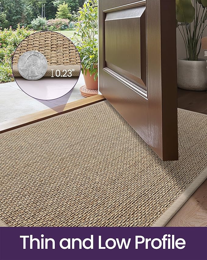 DEXI Ultra Thin Entryway Indoor Door Mat 17x30, Non Slip Rubber Backing Inside - Image 4