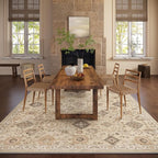 Machine Washable Rug for Living Room: 5x7 Area Rugs Boho Vintage Rug Stain - Image 7
