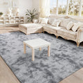 BENRON Fluffy Rugs for Living Room 5x8 Tie-dye Grey, Washable Large Area Rugs by BENRON